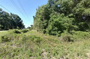 101 Hudson Dr, Satsuma, FL 32189 - Photo 1