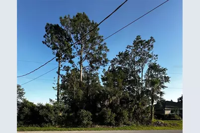 31 Palm Lane, Palm Coast, FL 32164 - Photo 1