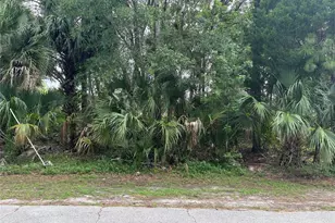 41 Poplar Dr, Palm Coast, FL 32164 - Photo 1
