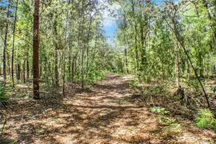 115 Coral Ave, Interlachen, FL 32148 - Photo 1