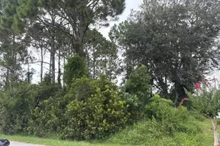 69 Felwood Ln, Palm Coast, FL 32137 - Photo 1