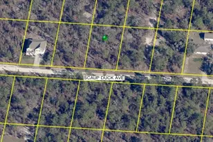 15163 Scaup Duck Ave, Weeki Wachee, FL 34614 - Photo 1