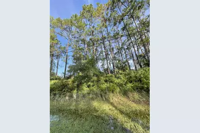 70 Eric Drive, Palm Coast, FL 32164 - Photo 1