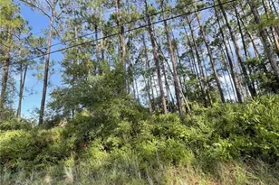 70 Eric Dr, Palm Coast, FL 32164 - Photo 1