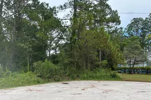 9 Rainrock Pl, Palm Coast, FL 32164 - Photo 1