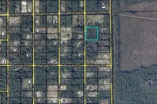 10420 Baylor Ave, Hastings, FL 32145 - Photo 1