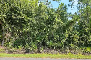 801 Franz St, Bunnell, FL 32110 - Photo 1