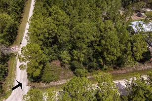 6148 Tangerine Ave, Bunnell, FL 32110 - Photo 1