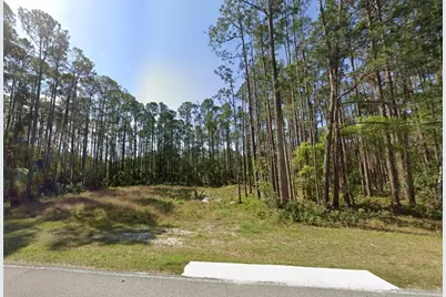 243 & 245 Georgetown Denver Road, Georgetown, FL 32139 - Photo 1