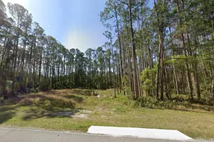 243 & 245 Georgetown Denver Rd, Georgetown, FL 32139 - Photo 1