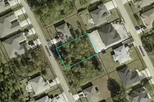 46 Freneau Ln, Palm Coast, FL 32137 - Photo 1