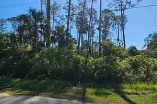 6 Poindexter Ln, Palm Coast, FL 32164 - Photo 1
