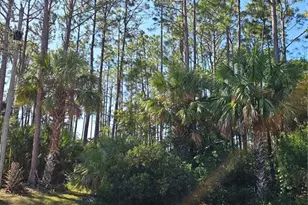 12 Ramsgate Pl, Palm Coast, FL 32164 - Photo 1