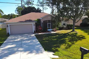 7 Zither Ct, Palm Coast, FL 32164 - Photo 1