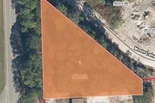 Xx Moon Lake Dr, Crescent City, FL 32112 - Photo 1