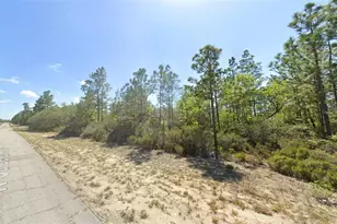 10660 N Caldera Ave, Dunnellon, FL 34433 - Photo 1