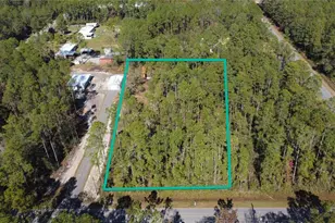4150 Melanie St, Hastings, FL 32145 - Photo 1