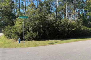 1 Zanzibar Ct, Palm Coast, FL 32164 - Photo 1