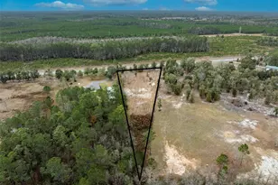 County Road 218, Middleburg, FL 32068 - Photo 1