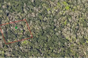 000 Reed Grove Rd, Oak Hill, FL 32759 - Photo 1