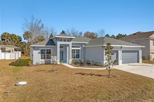 19 Long Pl, Palm Coast, FL 32137 - Photo 1