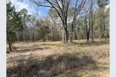 10055 Flikkema Avenue, Hastings, FL 32145 - Photo 1