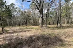 10055 Flikkema Ave, Hastings, FL 32145 - Photo 1