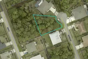 21 Utopian Ct, Palm Coast, FL 32164 - Photo 1