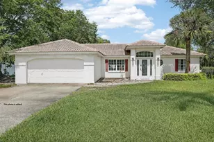 1 Wellwater Dr, Palm Coast, FL 32164 - Photo 1
