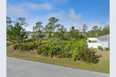 10 Rocking Ln, Palm Coast, FL 32164 - Photo 1