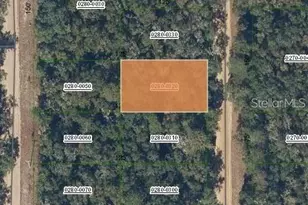 Brett Ave, Interlachen, FL 32148 - Photo 1