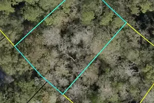 Xxx Z Section Drop Lot, Palm Coast, FL 32137 - Photo 1