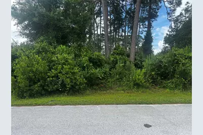 24 Bannerwood Lane, Palm Coast, FL 32137 - Photo 1