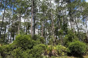 3 Largo Pl, Palm Coast, FL 32137 - Photo 1