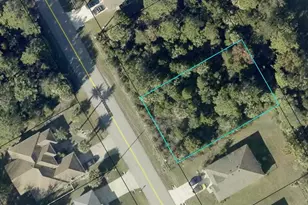 174 Bird of Paradise Dr, Palm Coast, FL 32137 - Photo 1
