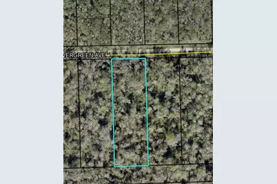 3655 Evergreen Avenue, Bunnell, FL 32110 - Photo 1