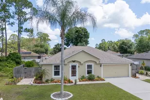 3 Poindexter Ln, Palm Coast, FL 32164 - Photo 1