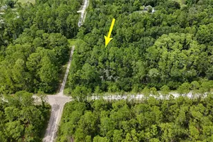 5446 Mango Ave, Bunnell, FL 32110 - Photo 1