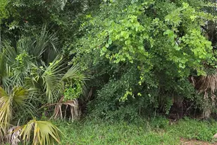 19 Wasserman Dr, Palm Coast, FL 32164 - Photo 1