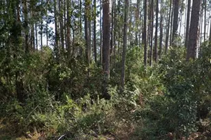21 Erickson Pl, Palm Coast, FL 32164 - Photo 1