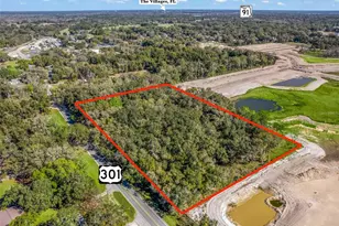 0000 US Hwy 301, Coleman, FL 33521 - Photo 1