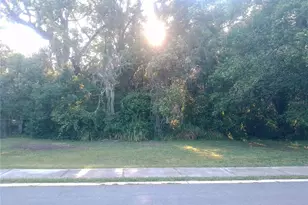 Gorham St, Mount Dora, FL 32757 - Photo 1