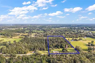 5011 Griffin View Dr, Lady Lake, FL 32159 - Photo 1