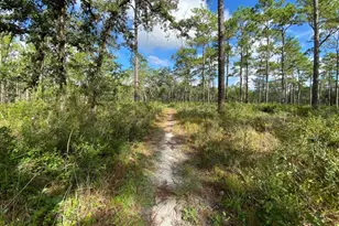 0 Dempsey Rd, Brooksville, FL 34601 - Photo 1