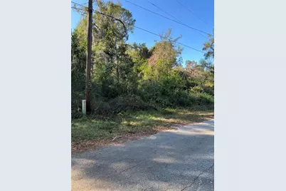 Cr 690, Webster, FL 33597 - Photo 1