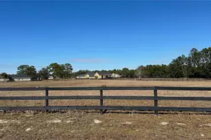 Tbd NE 61st Ave Road Rd, Silver Springs, FL 34488 - Photo 1