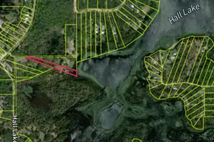 Hall Lake Rd, Keystone Heights, FL 32656 - Photo 1