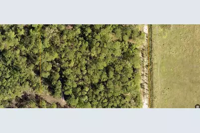 Lake Harney Road, Osteen, FL 32764 - Photo 1