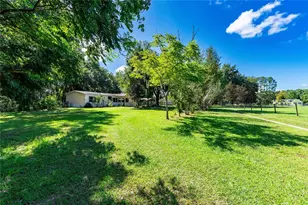 2111 Sr 50, Webster, FL 33597 - Photo 1