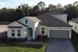 9558 Brave Buck Ave, Land O Lakes, FL 34638 - Photo 1